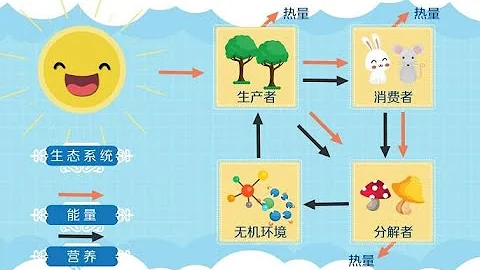 一分鐘了解生態系統的組成 - 天天要聞