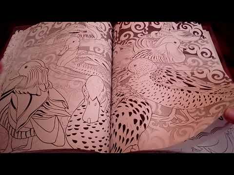 Видео обзор на раскраску-антистресс Райские птицы. Видео обзор на раскраску-антистресс Райские птицы.