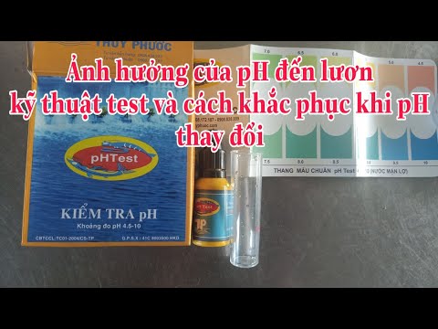 Ảnh hưởng của pH đến lươn và cách khắc phục/eels farming/muoi nông thôn.