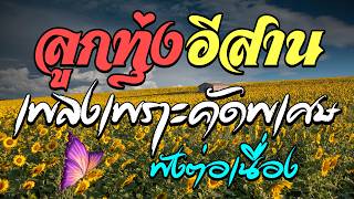 ลูกทุ่งอีสาน เพลงเพราะคัดพิเศษ ฟังต่อเนื่อง