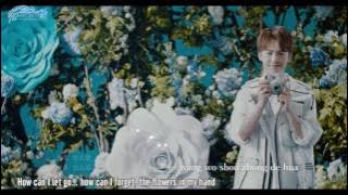 [Engsub  Pinyin] Ma TianYu | 马天宇 -  The Flowers in Hand | 手花 MV