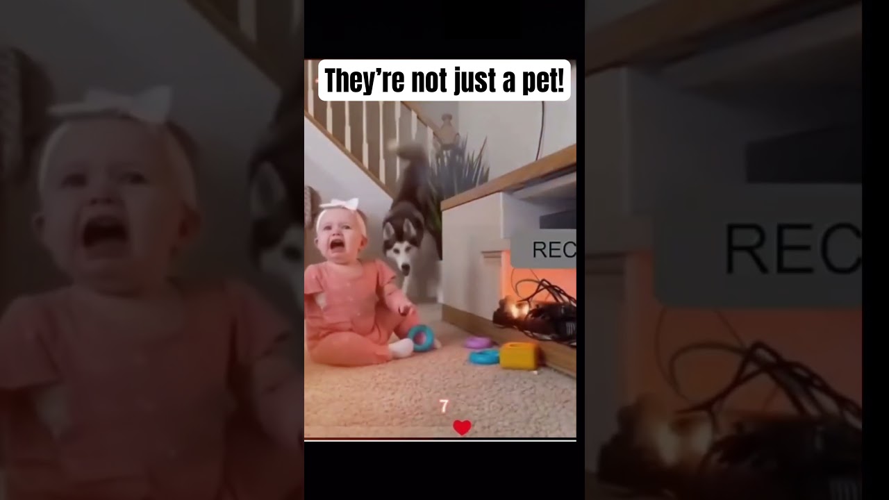 They’re not just a pet! 