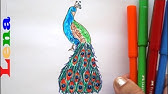 Pfauen Feder Zeichnen How To Draw A Peacock Feather Of Bird Kak Narisovat Pero Pavlina Youtube