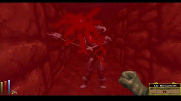 Aina in Daggerfall Unity - Perplexing Immortal