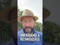 MANGIAMO IL PRATO: 3 erbe spontanee commestibili