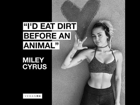 Nikky Raney on Miley Cyrus Quitting Veganism