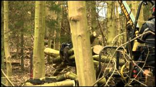 Extracting Timber with Small Scale Equipment