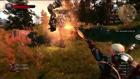 Witcher 3: Vs EARTH ELEMENTAL (Level 20)