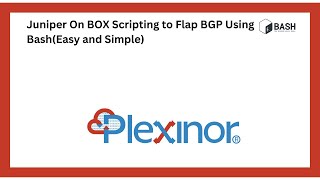 Juniper On BOX Scripting to Flap BGP Using Bash(Easy and Simple)