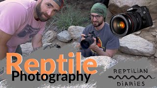 Reptile photography  the kit to shoot it all, and of course herping!