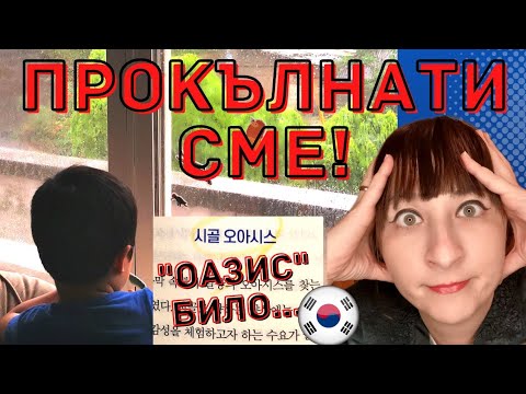 Видео: 10 домашни любимци, които не трябва да ядат храна за живо