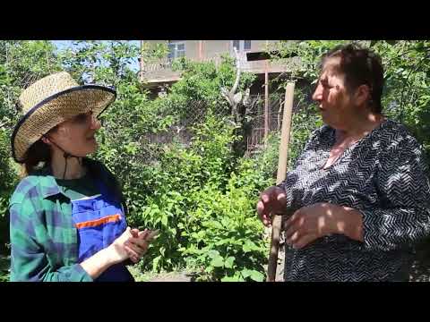 Video: Ֆերմա պալատ Պետերհոֆում. պատմություն, հասցե, բացման ժամեր, լուսանկարներ