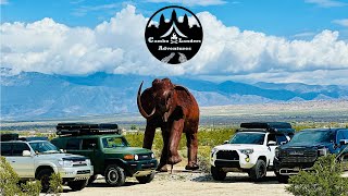 Exploring Anza-Borrego: A Desert Oasis Adventure