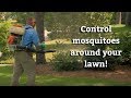 Mosquito Protection Service - Expert Lawn Care Tips
