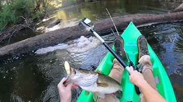 October 8th 2025 💪Big Fall Bass 🔥