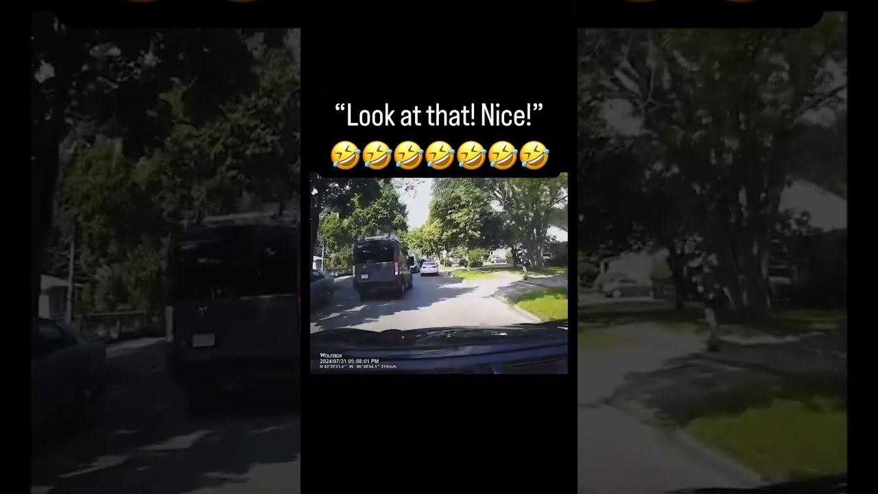 What Did Bro Do Funny Memes Wtf Shorts