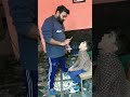 Funny videos 😂😂