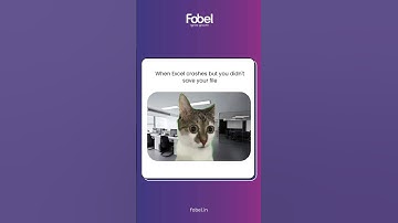 POV: You Forgot to Hit Save in Excel 📉 | Accounting Meme