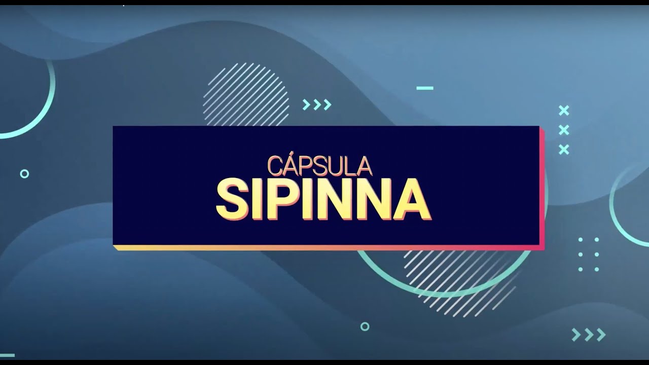 Participación de niñas, niños y adolescentes.