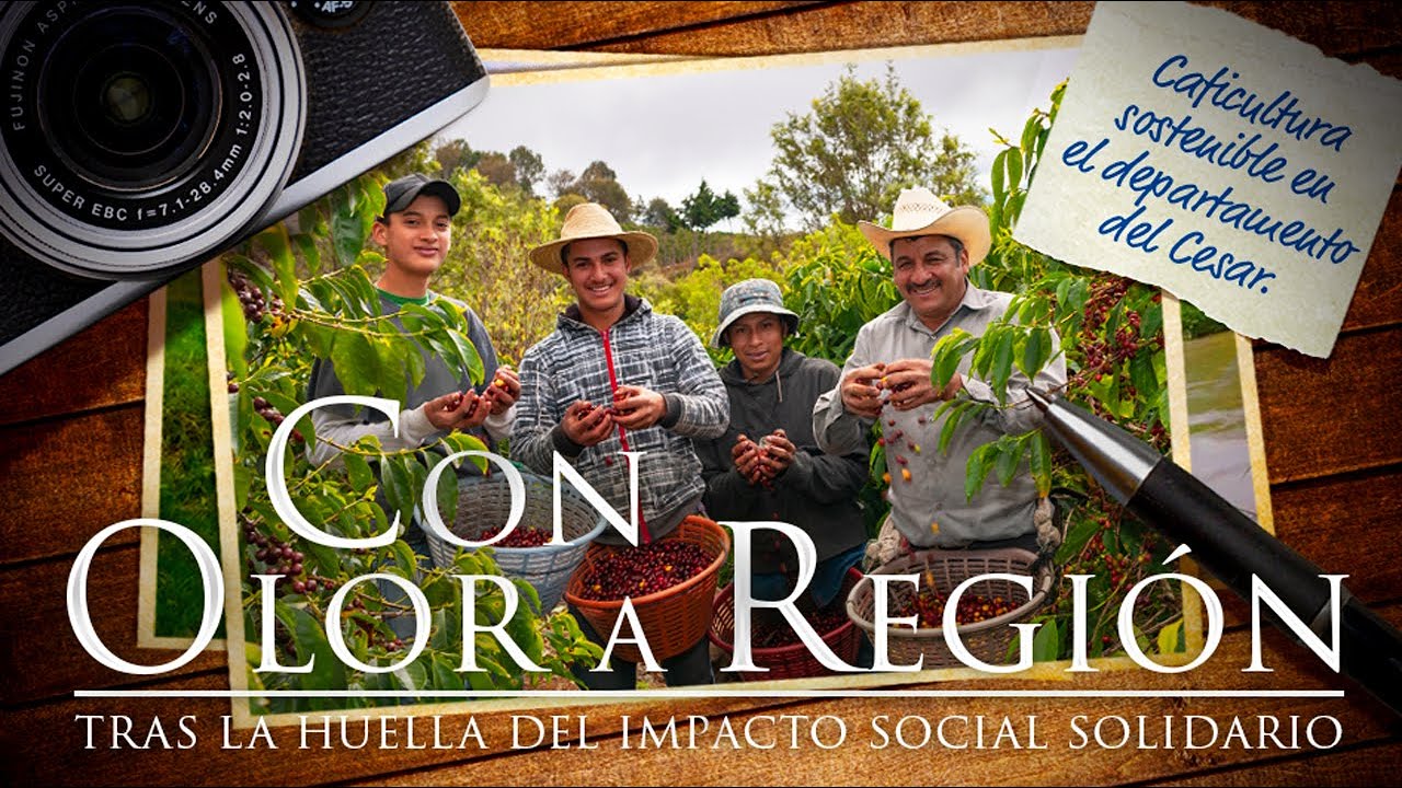 Con Olor a Región: CAFICULTURA SOSTENIBLE EN EL DEPARTAMENTO DEL CESAR