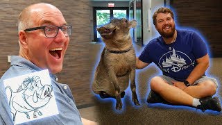 Meeting a Warthog with Pumbaa's Animator! (Plus More Animals) Ft. Tony Bancroft