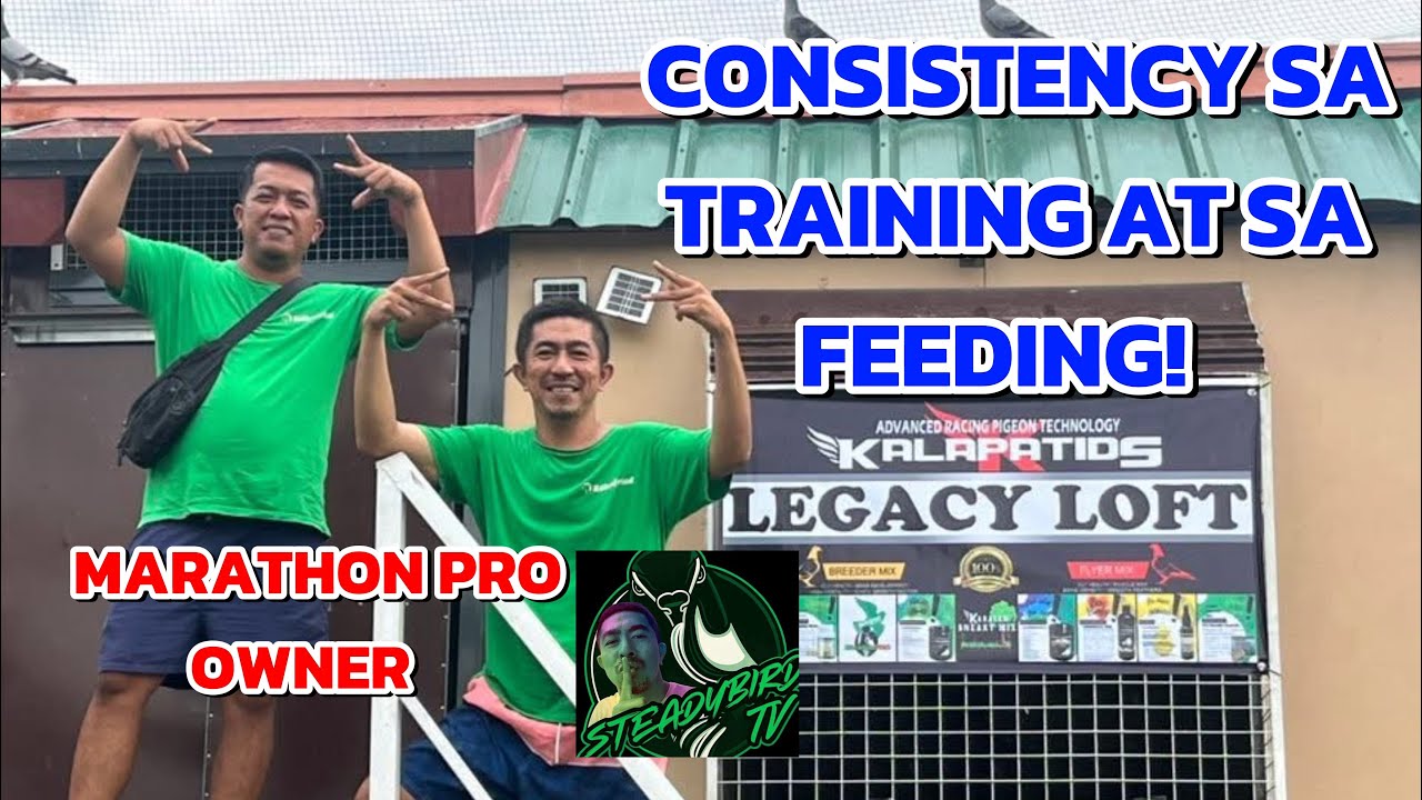 SECRETS OF RACING PIGEON “LEGACY LOFT” LAST PART 