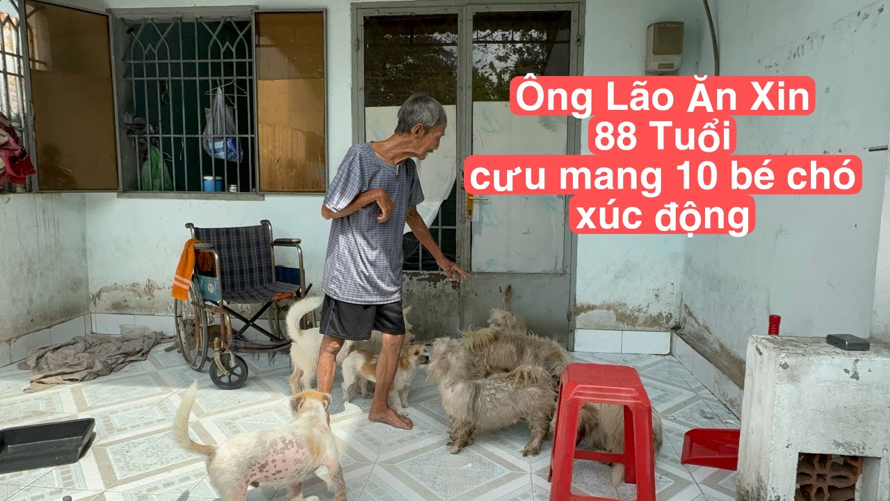 Xin88 con Khám Phá Thế Giới Giải Trí Trực Tuyến Đỉnh Cao - Trải Nghiệm Không Giới Hạn