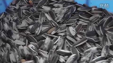 AMD Sunflower seed sorting machine, color sorter WhatsApp:+86-18257877760