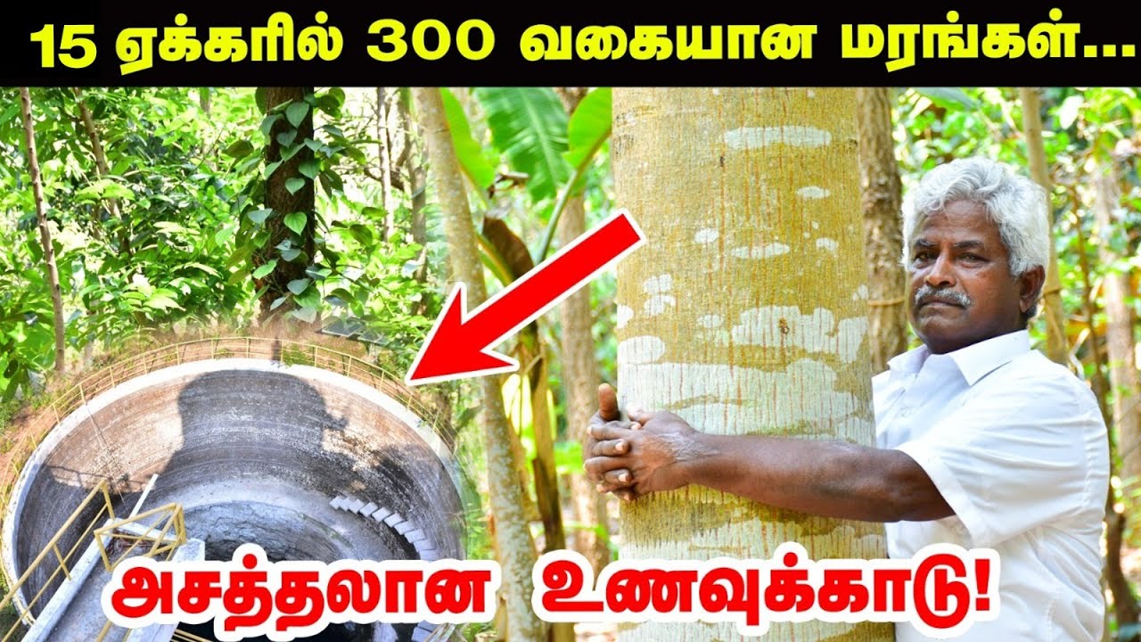 15 ஏக்கரில் 300 வகையான மரங்கள் - தனிமனிதன் உருவாக்கிய உணவுக்காடு | Food Forest | Pasumai vikatan
