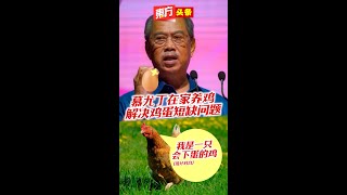 慕尤丁在家养鸡　解决鸡蛋短缺问题【东方头条】2023-7-10