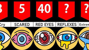 Timeline: What if You Stopped Blinking
