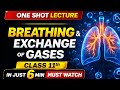 Breathing and Exchange of Gases Class 11th | Revision in 6 Minutes Only 
