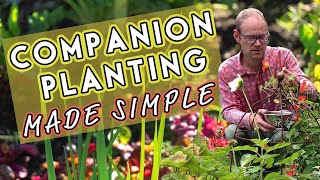 Why Vegetables Need Friends: Companion Planting Made Simple