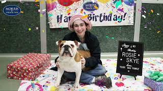 Happy 2nd Birthday, Rosie Skye!