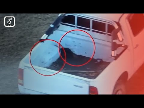 თამაზ გინტურის მკვლელობა — ვითარება საოკუპაციო ხაზზე