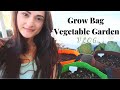 GROW BAG VEGETABLE GARDEN VLOG  How to Grow Vegetables in Containers  How to Use Grow Bags