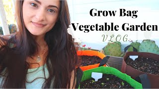 GROW BAG VEGETABLE GARDEN VLOG  How to Grow Vegetables in Containers  How to Use Grow Bags