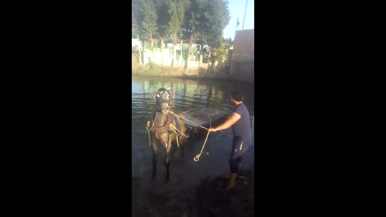 ١٤ أبريل، ٢٠١٨