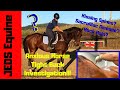 ANXIOUS HORSE | TIGHT BACK | IS IT KISSING SPINES? SACROILIAC OR HOCK PAIN?