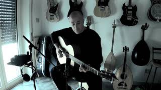 With or without you Furch Blue Baritone CM