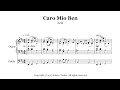 Organ: Aria Caro Mio Ben - Tommaso Giordani