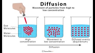 S.1 PHYSICS LESSON:DIFFUSION