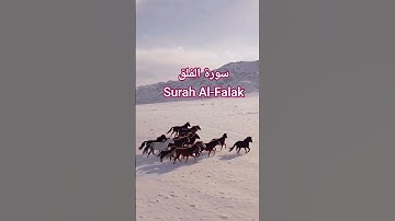 سورة الفلق Surah Al-Falak | قرٱن. #المصحف #اكسبلور #quran