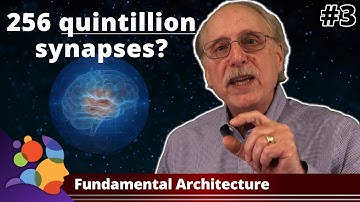 Fundamental Architecture – Machine Learning Is Not Like Your Brain #3