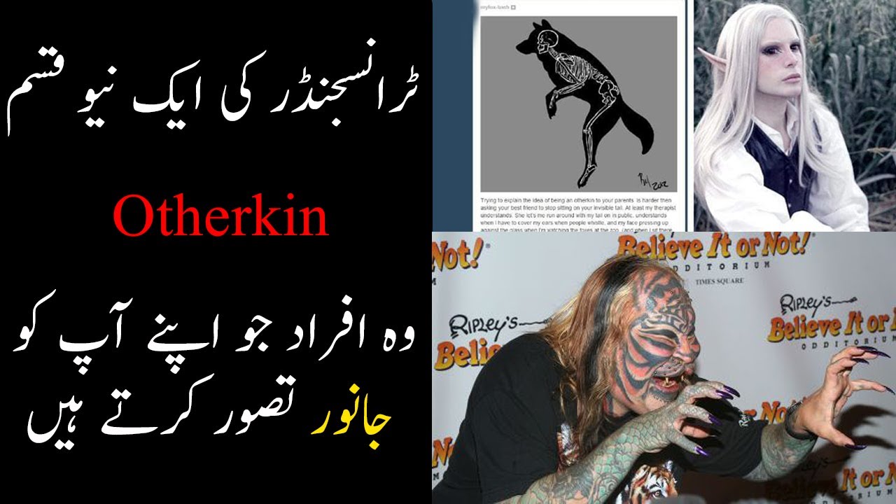Otherkin Cat Man Dennis Avner Biography In Hindi Urdu
