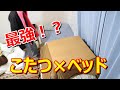 【初投稿】革命⁉こたつ×ベッドで最強の寝心地を手に入れてやる！