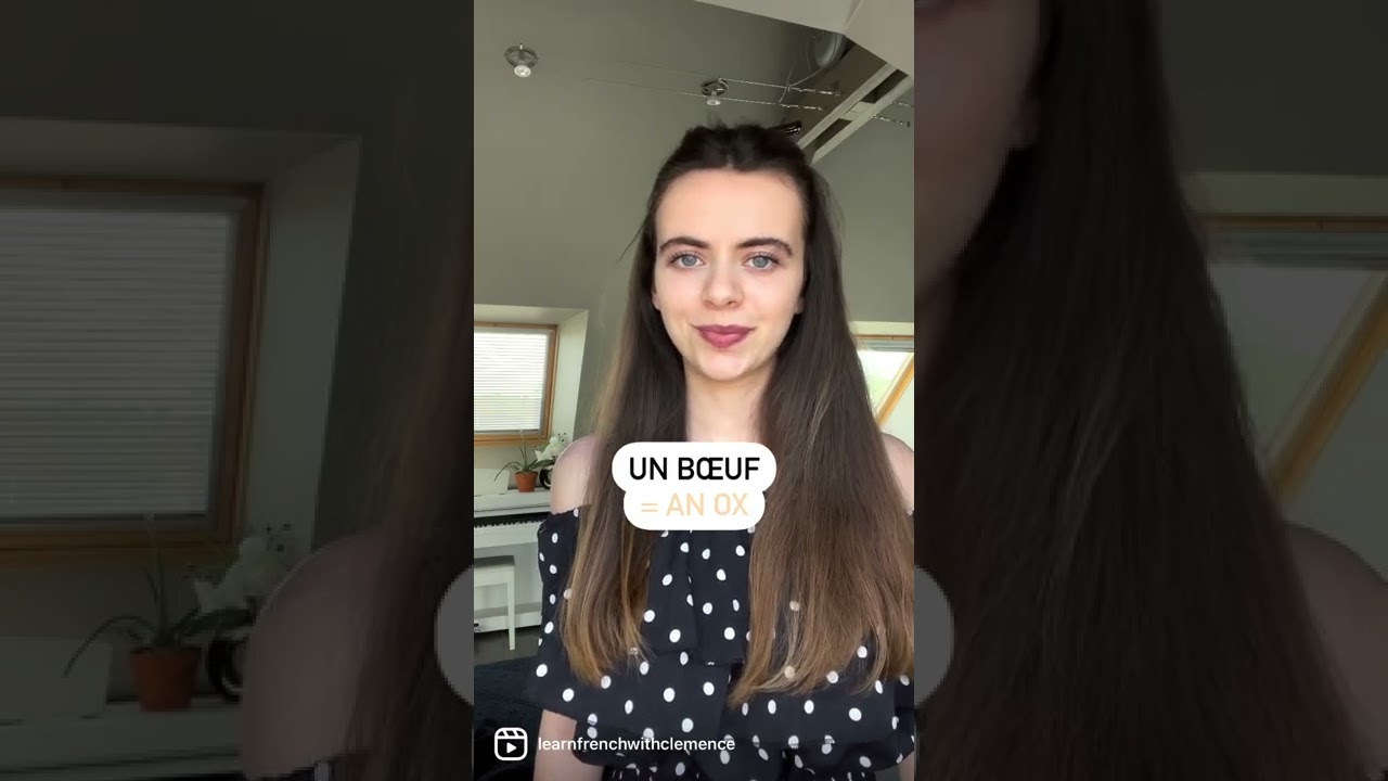 🇫🇷 Irregular Plurals