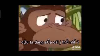 Video gốc : nhìn kìa một con chó cậu ta đang sủa cái gì thế nhỉ ! - Chị KTLN