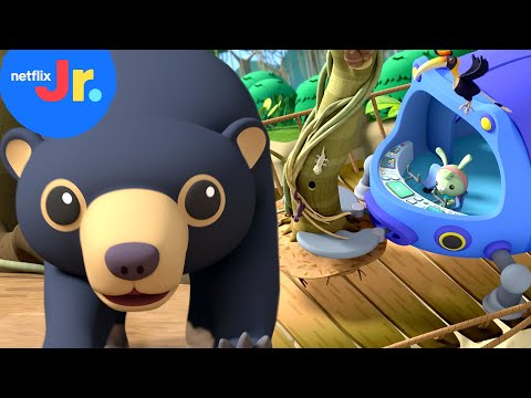 Bear-y Bad Bridge 🐻 NEW Octonauts: Above &amp; Beyond Sneak Peek | Netflix Jr