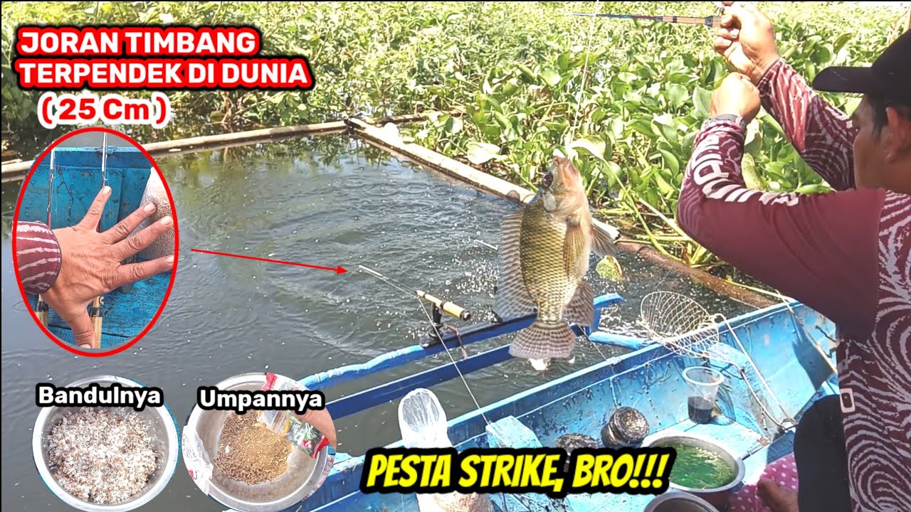 Perhatikan cara meracik bandulnya agar ikan ngumpul! | PESTA STRIKE DENGAN JORAN TIMBANG TERPENDEK